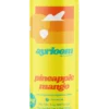 A can of Pineapple Mango 5mg Cannabis Infused Sparkling Water with a clean, modern label featuring pineapple and mango illustrations.